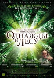 Однажды в лесу (2013) HD