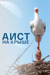 Аист на крыше (сериал 2021)